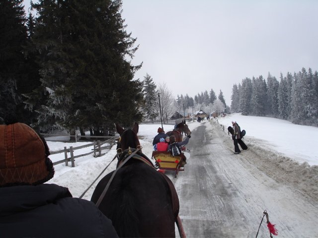 Wintersport in Polen: Zakopane 2006