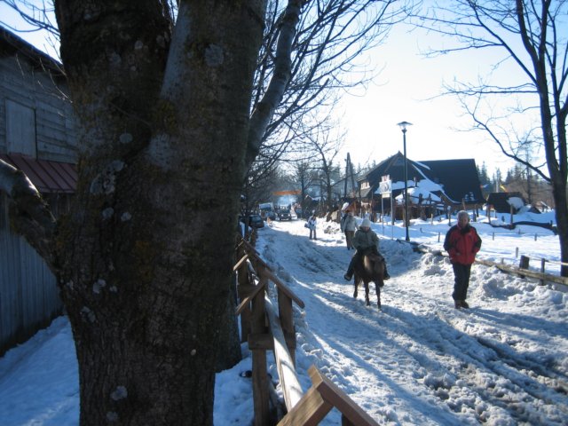 Wintersport in Polen: Zakopane 2006