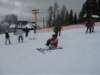 polen2007263_small.jpg