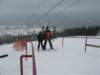 polen2007308_small.jpg