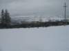 polen2007319_small.jpg