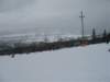 polen2007320_small.jpg