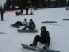 polen2007321_small.jpg