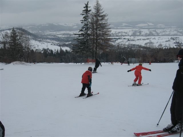 polen2007324.jpg