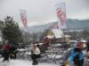 polen2007425_small.jpg