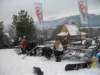 polen2007426_small.jpg