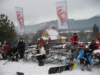 polen2007427_small.jpg