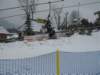 polen2007430_small.jpg