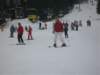 polen2007441_small.jpg