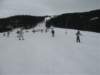 polen2007445_small.jpg
