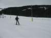 polen2007446_small.jpg