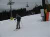 polen2007459_small.jpg