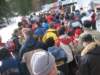polen2007552_small.jpg