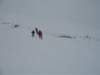 polen2007562_small.jpg