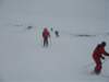 polen2007564_small.jpg