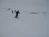 polen2007565_small.jpg