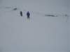 polen2007566_small.jpg