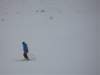 polen2007569_small.jpg