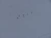 Zakopane_bild1014_small.jpg