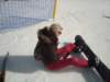 Zakopane_dsc01684_small.jpg