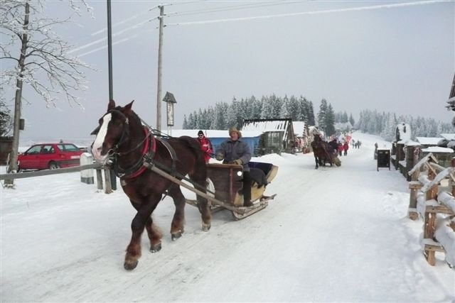 Zakopane_zakopane201174.jpg