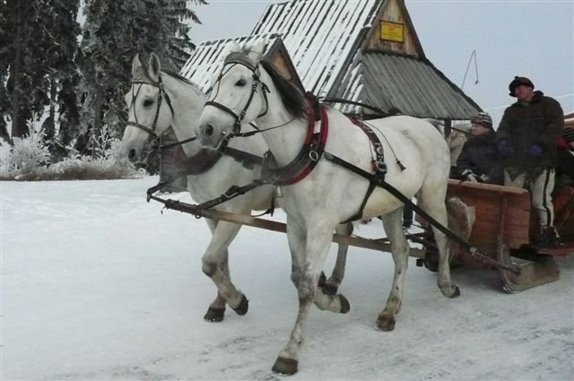 Zakopane_zakopane201179.jpg