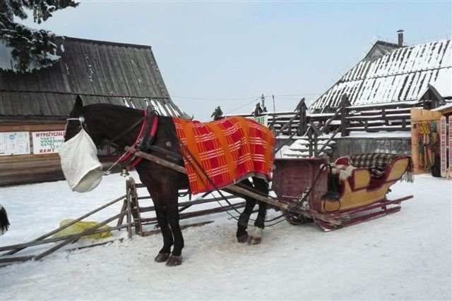 Zakopane_zakopane201180.jpg