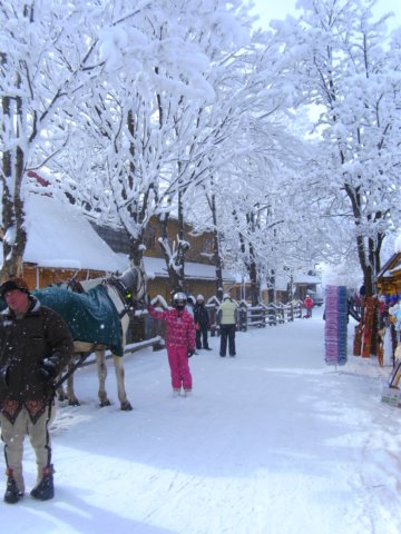 Zakopane_bild1869.jpg